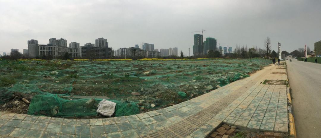 北湖，房价在2万边上磨皮擦痒