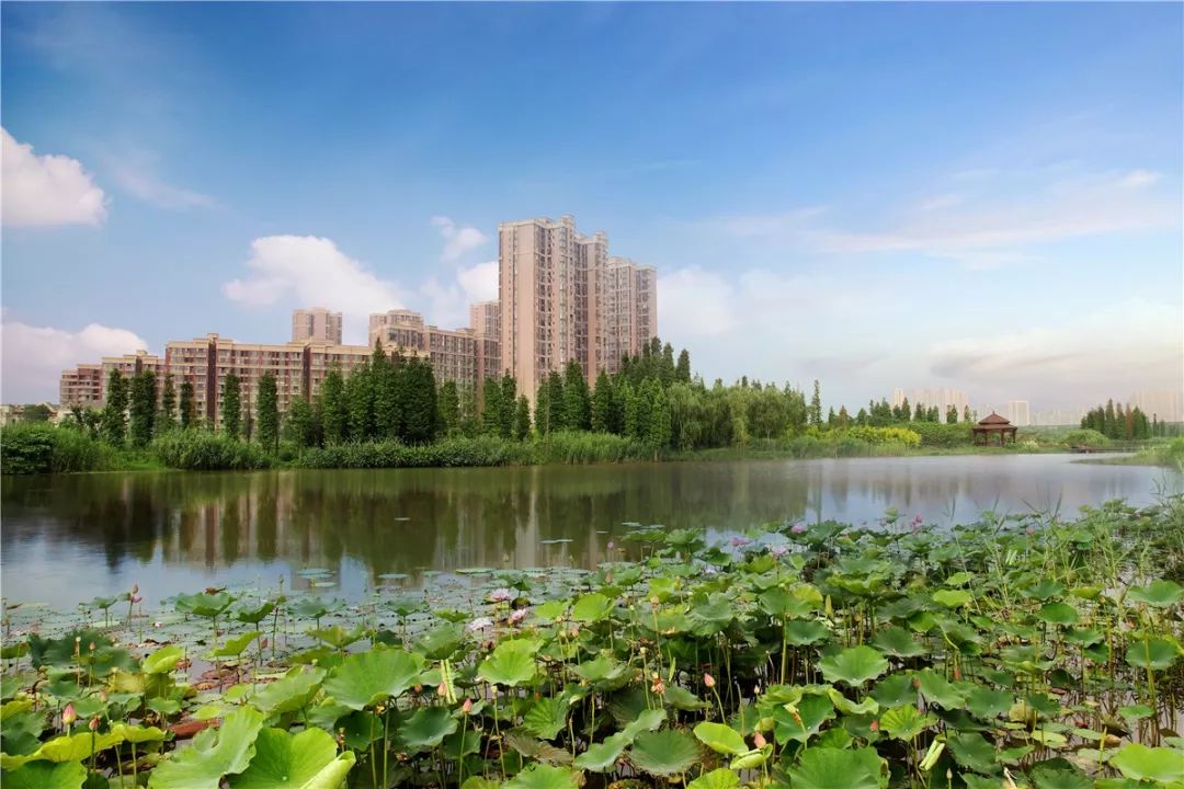 这才是“公园住宅”！六大高层景观PK，花落谁家？