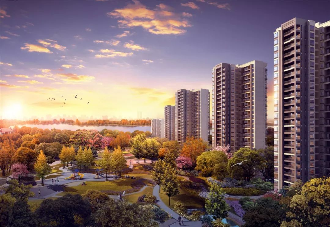 这才是“公园住宅”！六大高层景观PK，花落谁家？