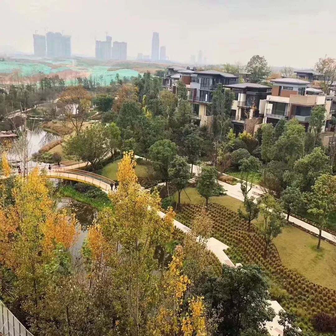 这才是“公园住宅”！六大高层景观PK，花落谁家？