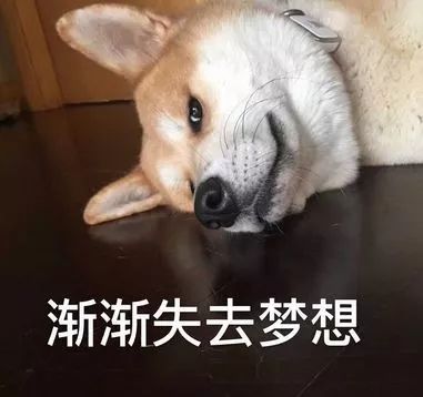 3200万一套！看来是我误解了“刚需”的定义......