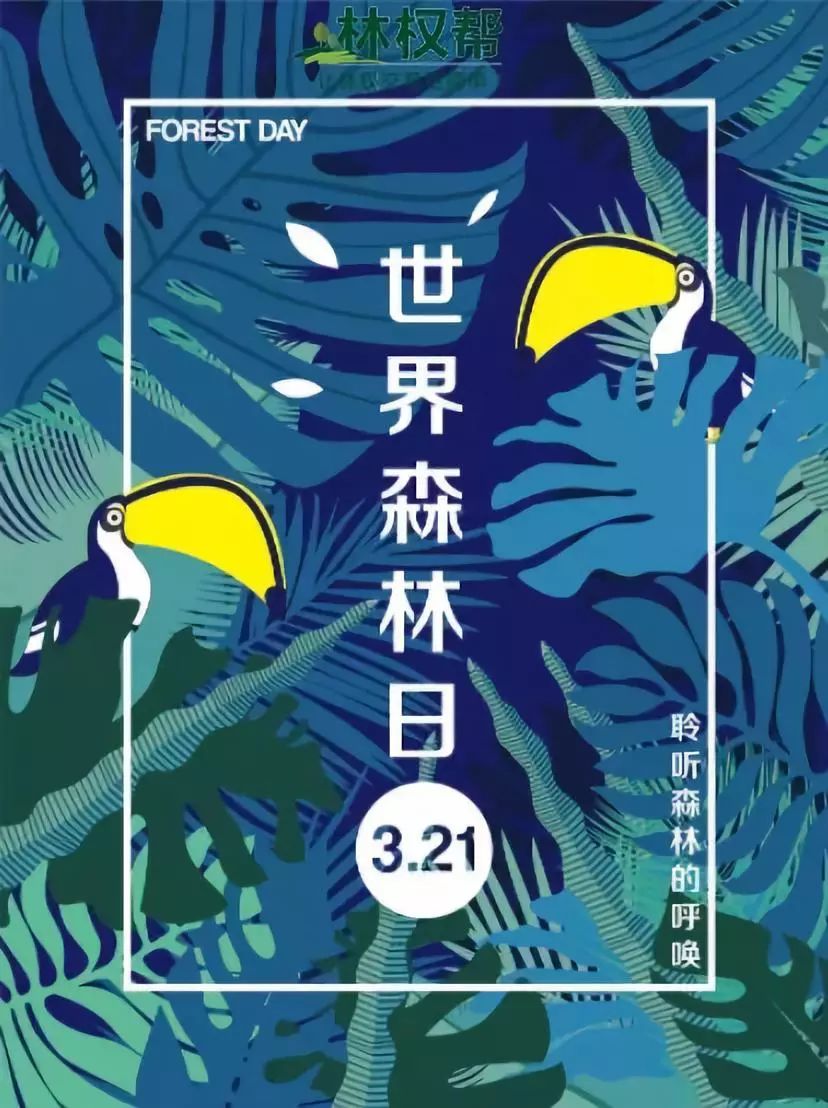世界森林日我和绿色有个约会