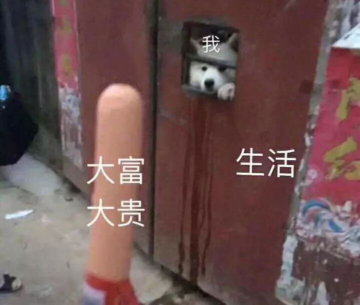 成都购买力，简直不行