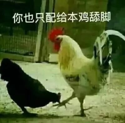 成都购买力，简直不行