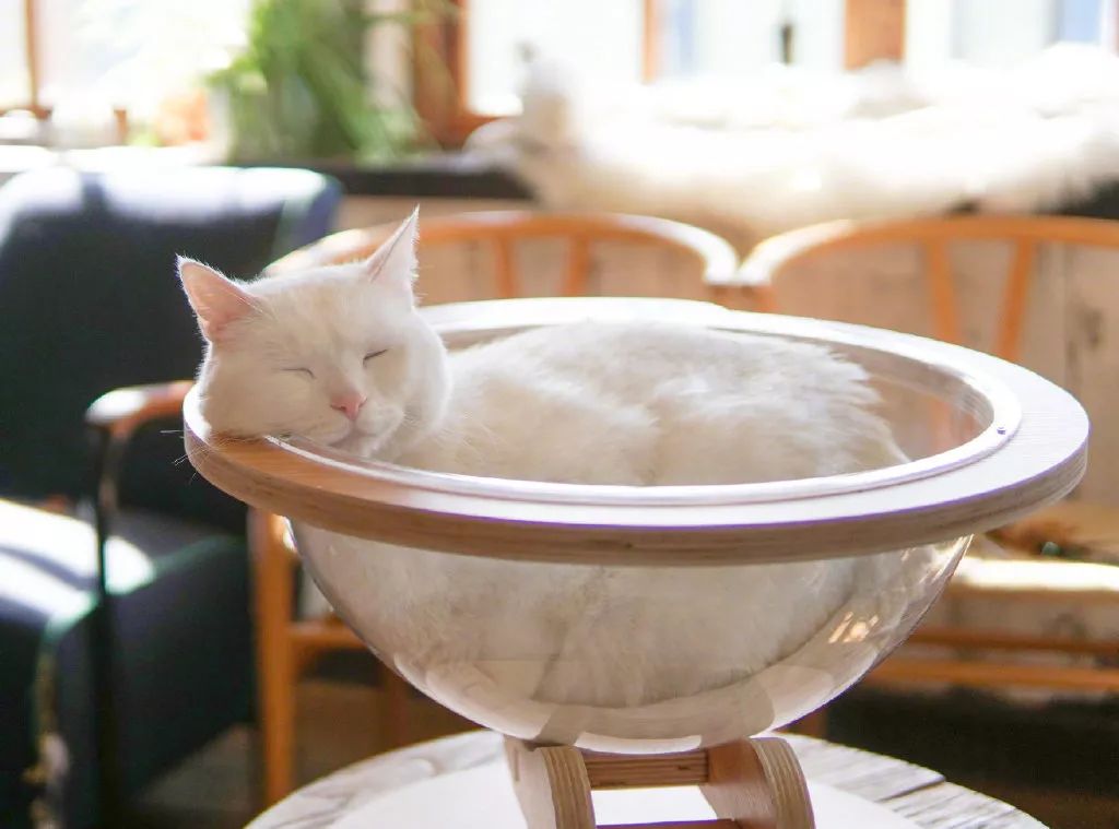 吐司这样吃，一口你就知道幸福的滋味是什么