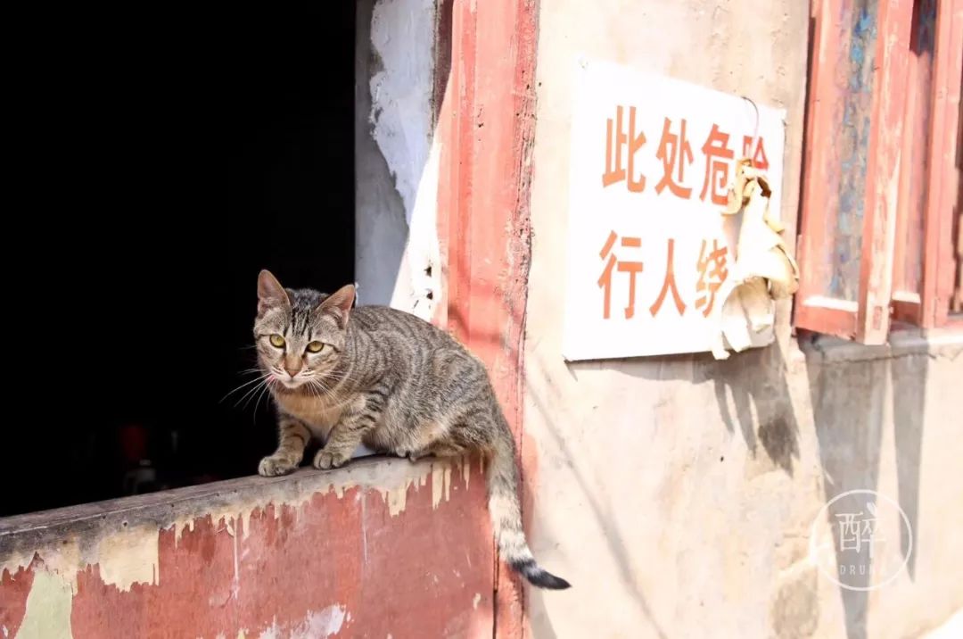 3天吃了25顿，这个一线美食城市比我想象中更好吃