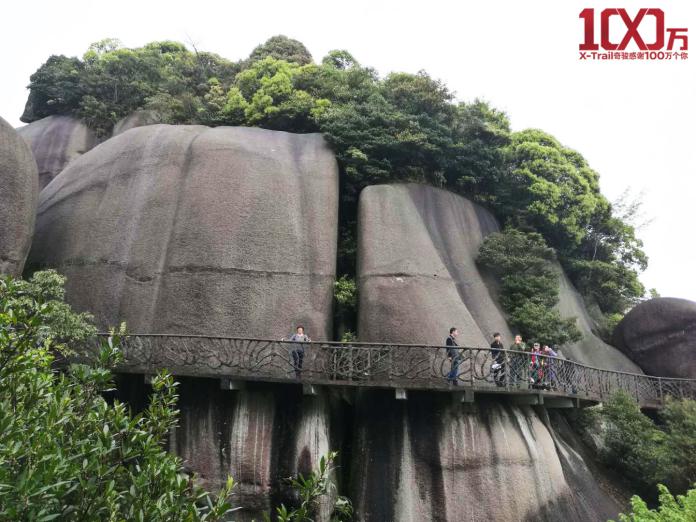 “百万奇骏，一路有你“ 太姥山福鼎白茶品茗之旅完美收官