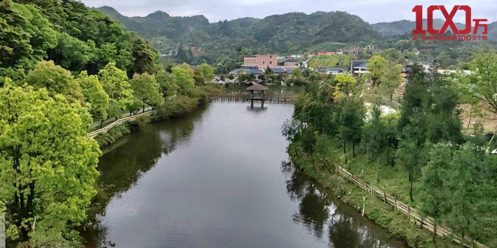 “百万奇骏，一路有你“ 太姥山福鼎白茶品茗之旅完美收官