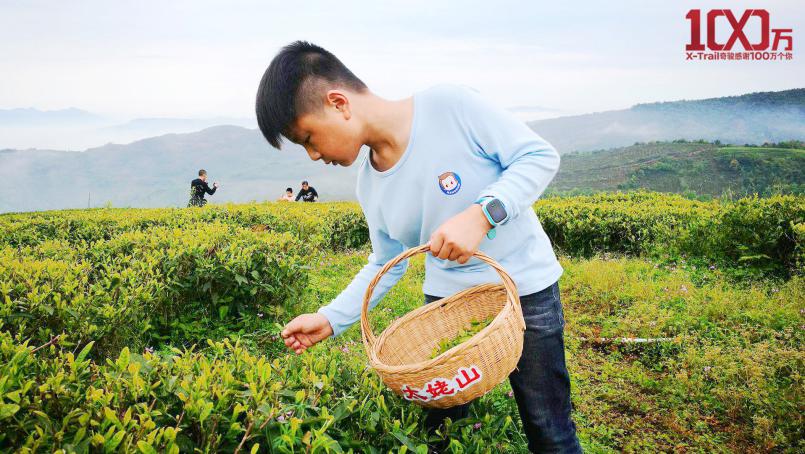 “百万奇骏，一路有你“ 太姥山福鼎白茶品茗之旅完美收官