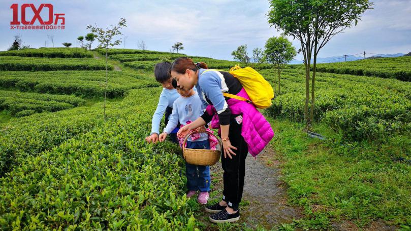 “百万奇骏，一路有你“ 太姥山福鼎白茶品茗之旅完美收官