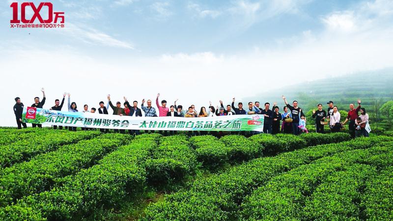 “百万奇骏，一路有你“ 太姥山福鼎白茶品茗之旅完美收官