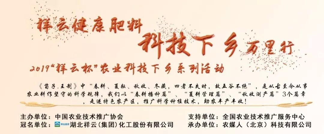 2019祥云杯农业科技下乡系列活动第四站