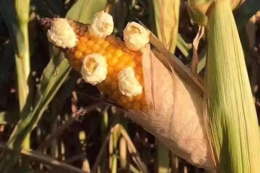 四月的重庆地表直升50℃，极限挑战来了后，星越再次为重庆升温