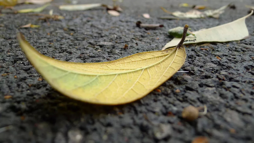 攻克癌症难关，这个方法独具优势！-何裕民