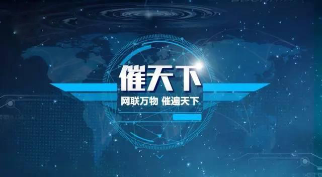 点击查看原图
