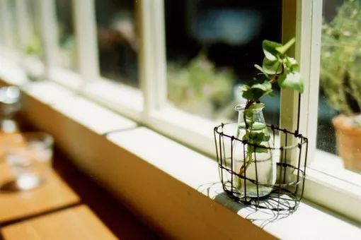 来自癌症患者的亲身感受：积极治疗未必是福！