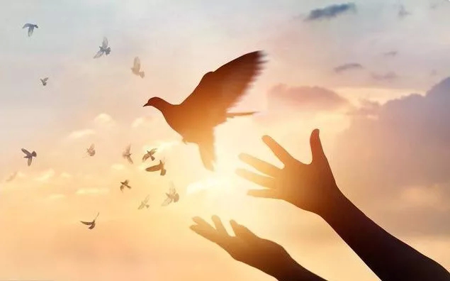 <b>与癌症“斗智斗勇”，康复地最好往往是这类人！你是吗？</b>