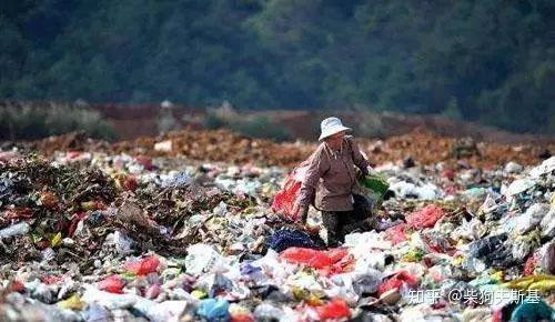 田园女权再出神论：喝奶侮辱女性人类，吃蛋虐待雌性动物-锋巢网