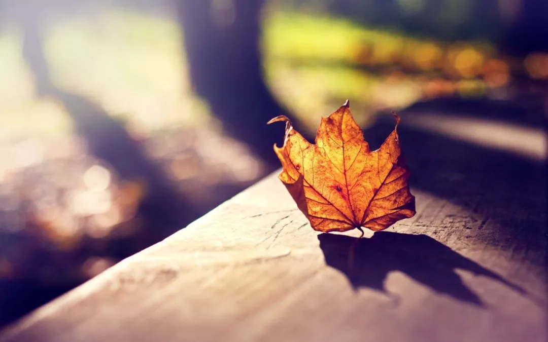 何裕民，癌症生存者，你值得更好地活下去!