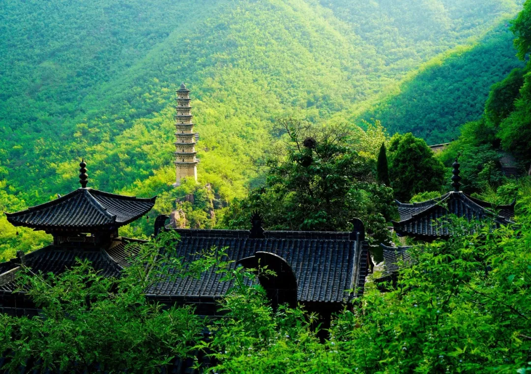 连云台山都在为杰伦打榜！你还在等吗？