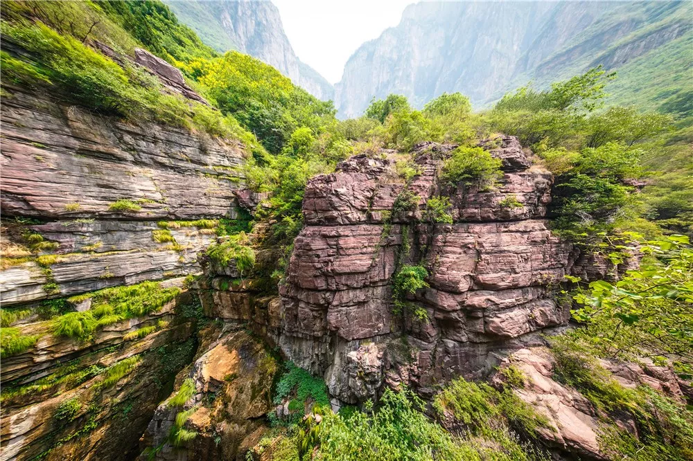 连云台山都在为杰伦打榜！你还在等吗？