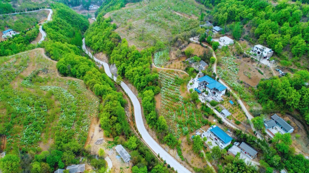 定了！2019年8月1日-20日栾川继续高速免费，避暑狂欢季不容错过！