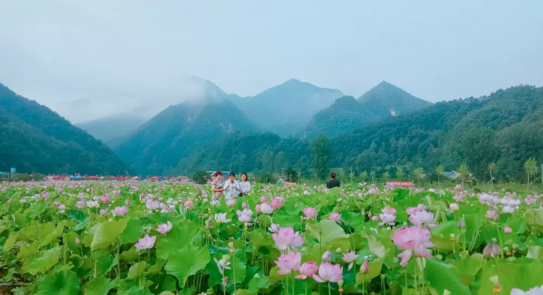 定了！2019年8月1日-20日栾川继续高速免费，避暑狂欢季不容错过！