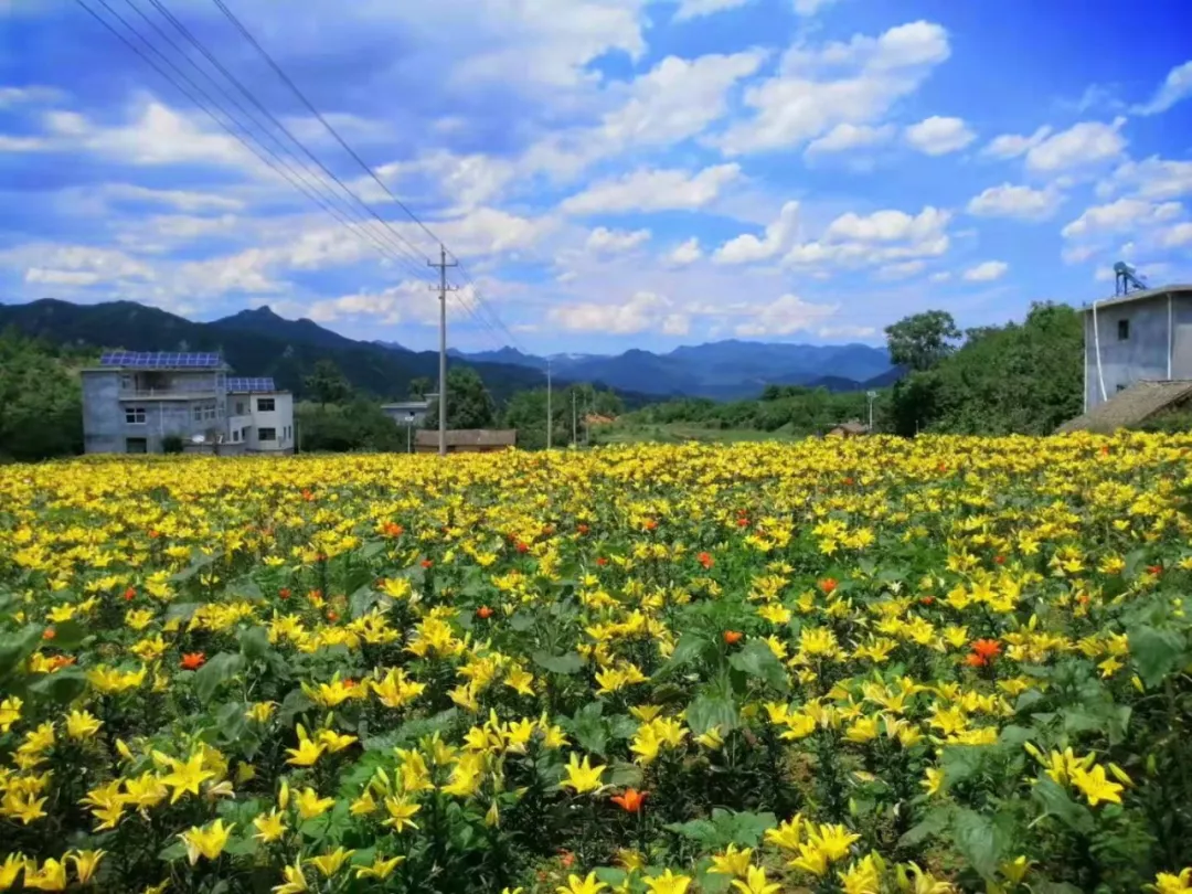 定了！2019年8月1日-20日栾川继续高速免费，避暑狂欢季不容错过！