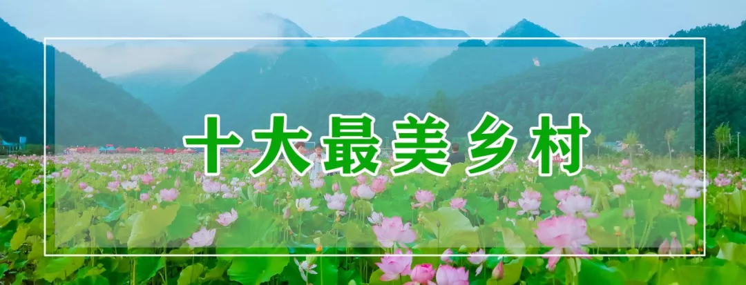 定了！2019年8月1日-20日栾川继续高速免费，避暑狂欢季不容错过！