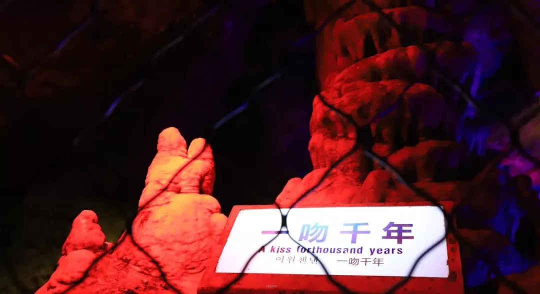 定了！2019年8月1日-20日栾川继续高速免费，避暑狂欢季不容错过！
