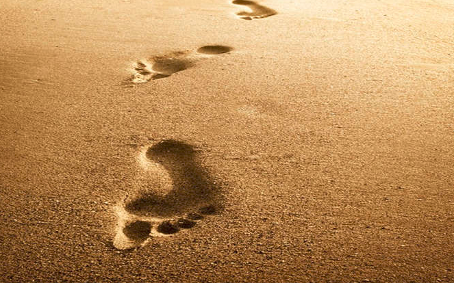 王俊凯《生长》：我一路披荆斩棘，只想成为你们的荣光