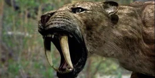 瑞数信息的“狩猎术”