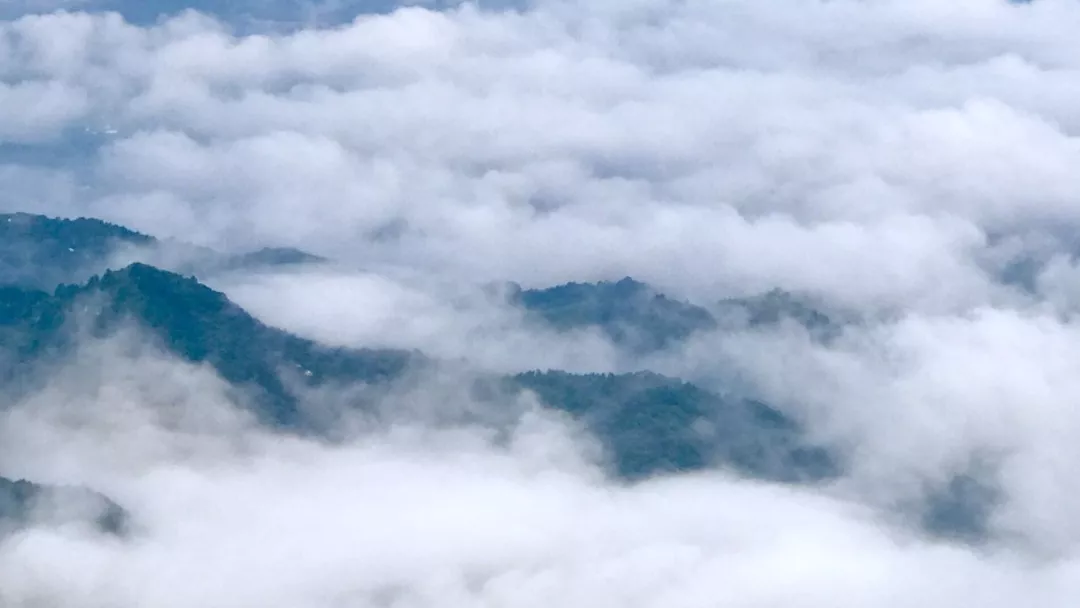 躲避高温必杀技！鸡公山，来一次就离不开的避暑好胜地