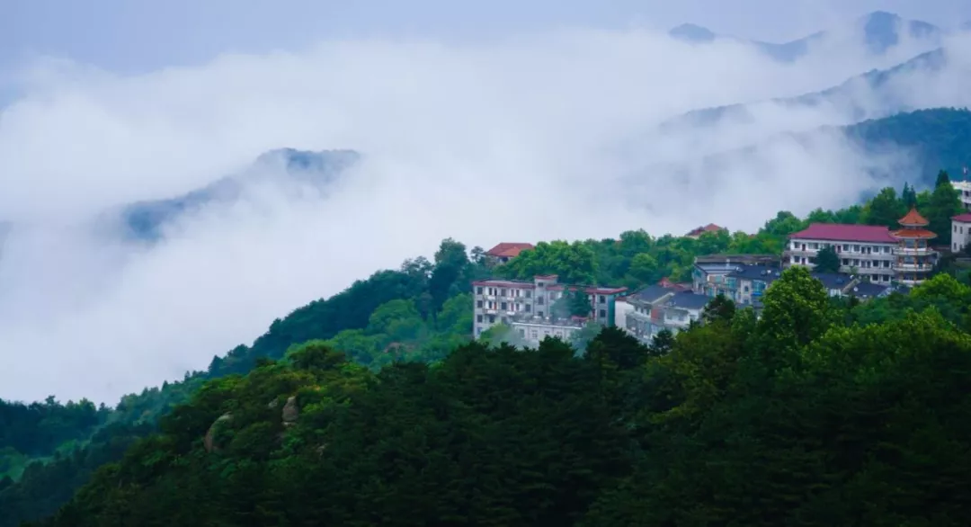躲避高温必杀技！鸡公山，来一次就离不开的避暑好胜地