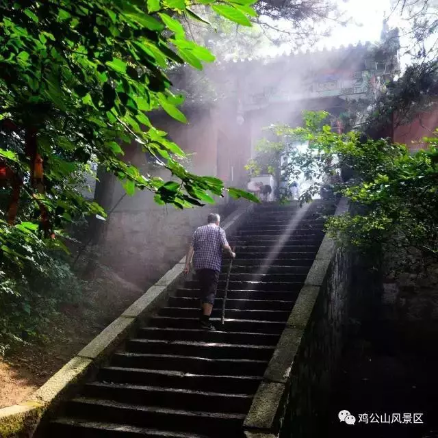 寻觅景美，风凉，雾奇，是时候出发避暑去了~
