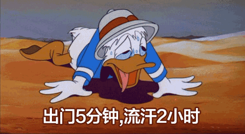 寻觅景美，风凉，雾奇，是时候出发避暑去了~