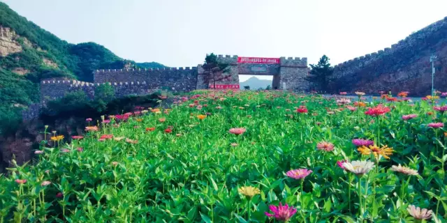 致敬军人 | 九峰山景区建军节送福利！