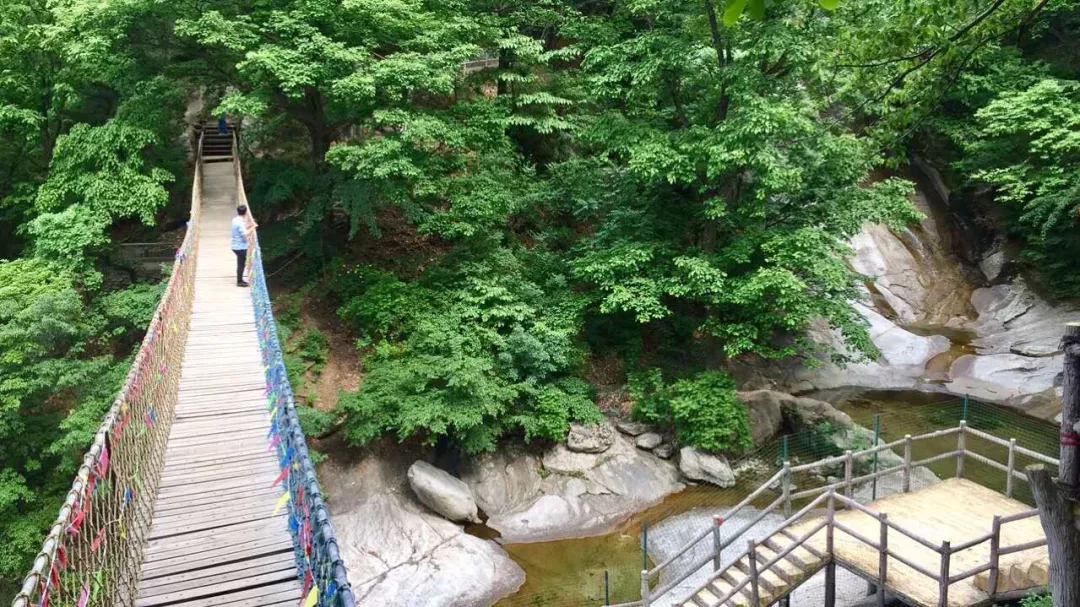 木札岭丨原定于8月1日结束的针对16岁以下学生免票活动延续至8月31日