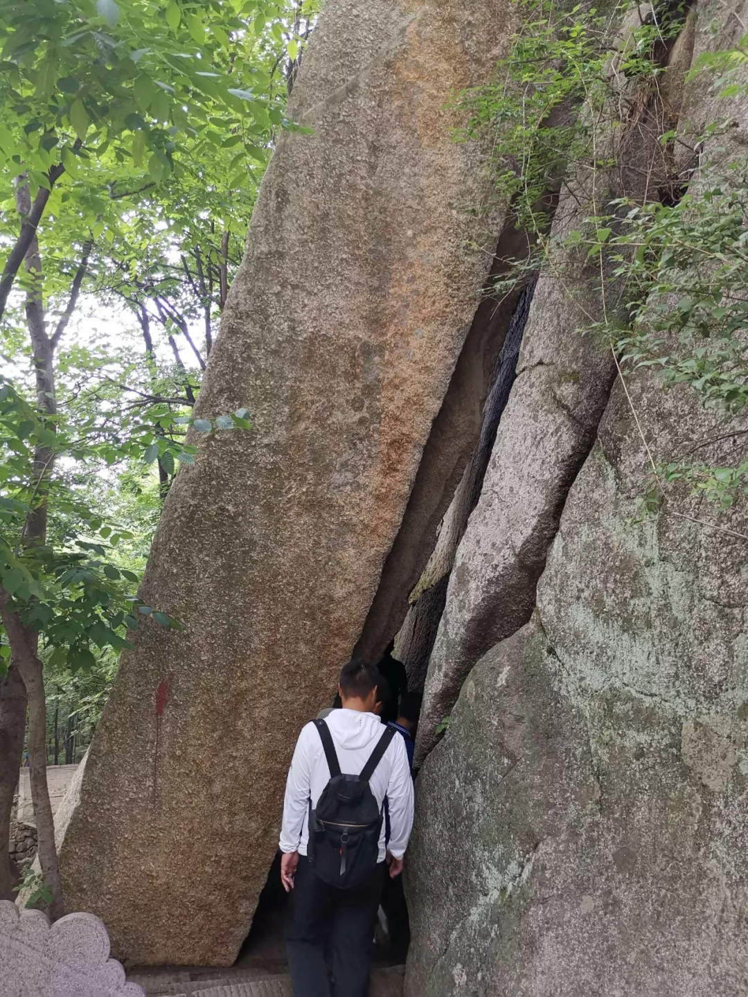 木札岭丨原定于8月1日结束的针对16岁以下学生免票活动延续至8月31日