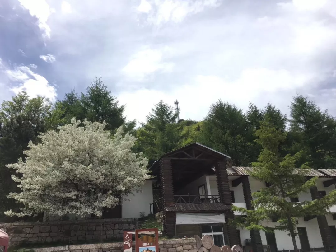 木札岭丨原定于8月1日结束的针对16岁以下学生免票活动延续至8月31日
