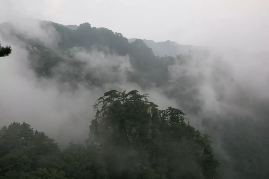 木札岭丨原定于8月1日结束的针对16岁以下学生免票活动延续至8月31日