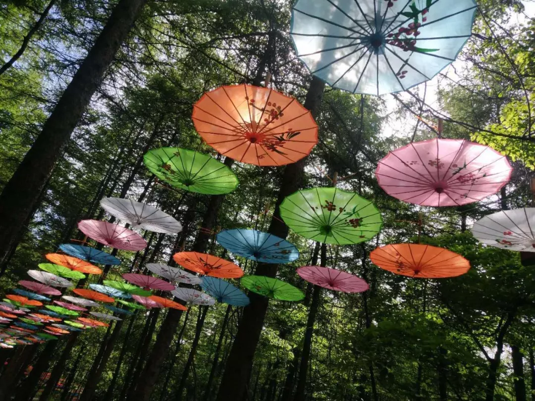 享太平盛世·庆70华诞丨8月10日木札岭首届广场舞大赛，邀您免费参与，开始报名…