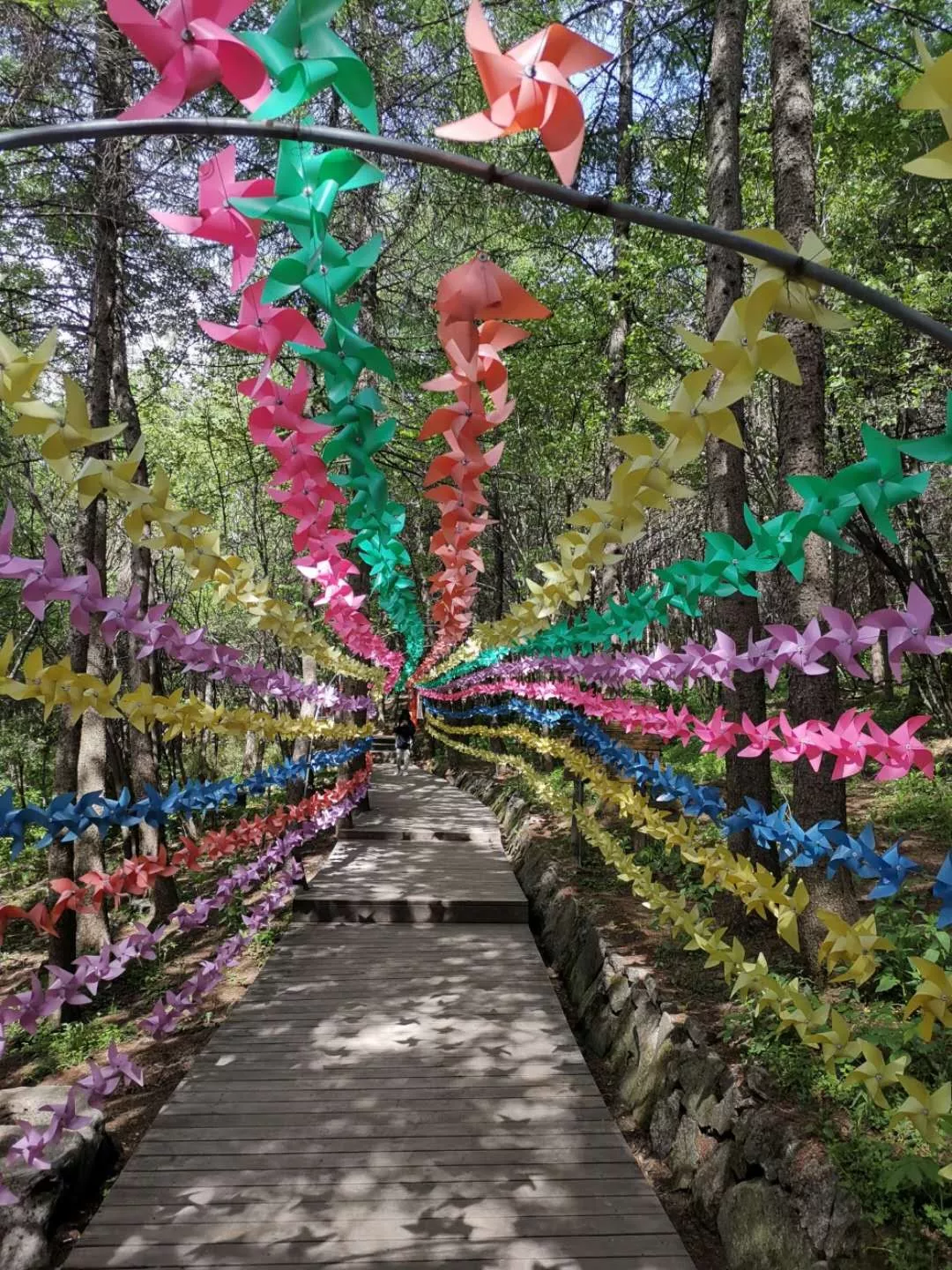 享太平盛世·庆70华诞丨8月10日木札岭首届广场舞大赛，邀您免费参与，开始报名…
