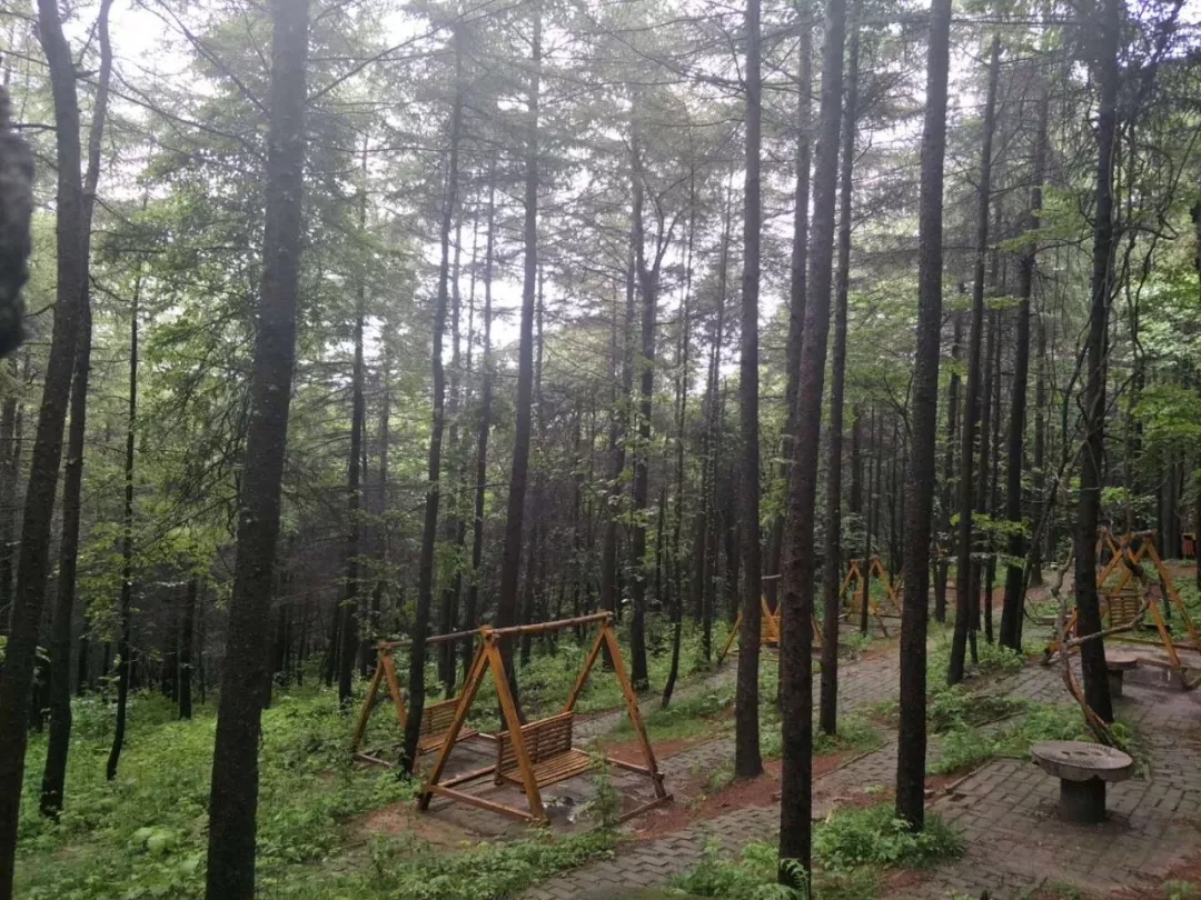 享太平盛世·庆70华诞丨8月10日木札岭首届广场舞大赛，邀您免费参与，开始报名…