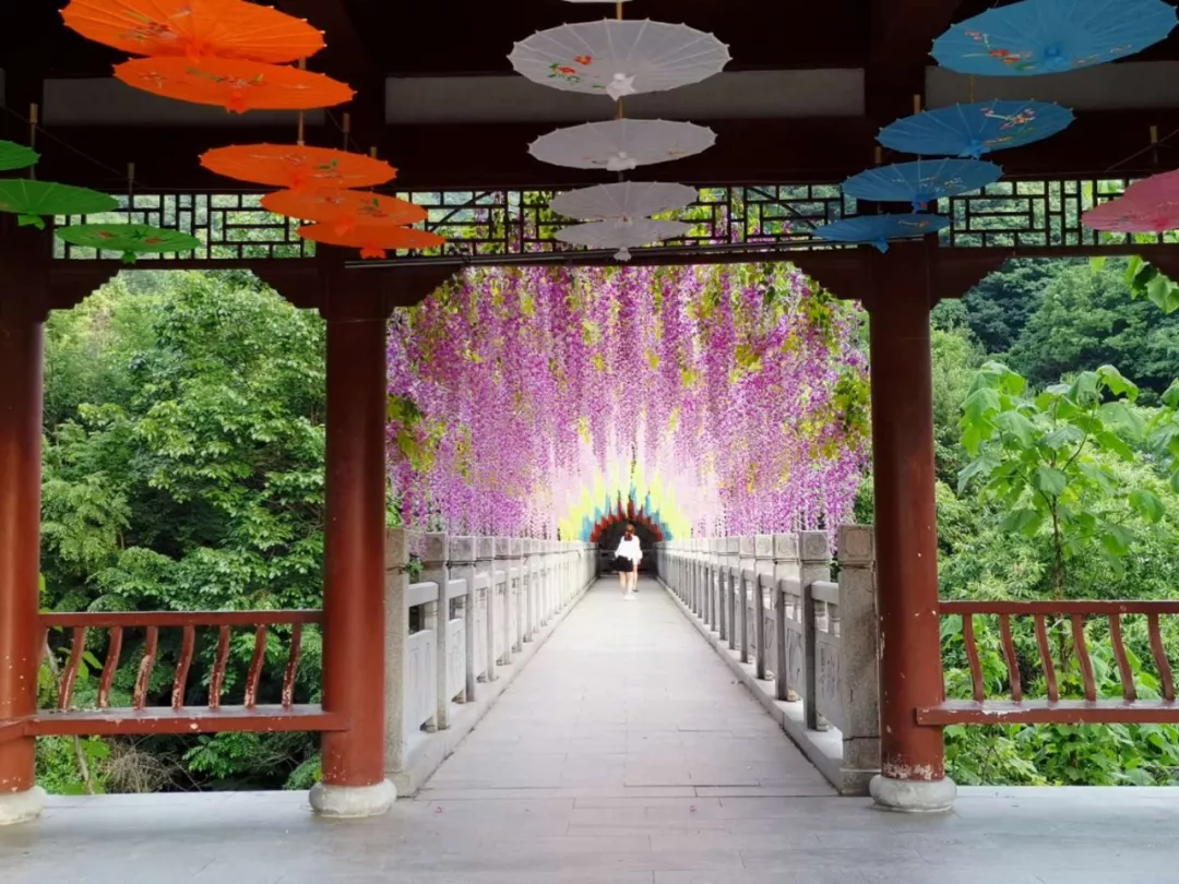 享太平盛世·庆70华诞丨8月10日木札岭首届广场舞大赛，邀您免费参与，开始报名…