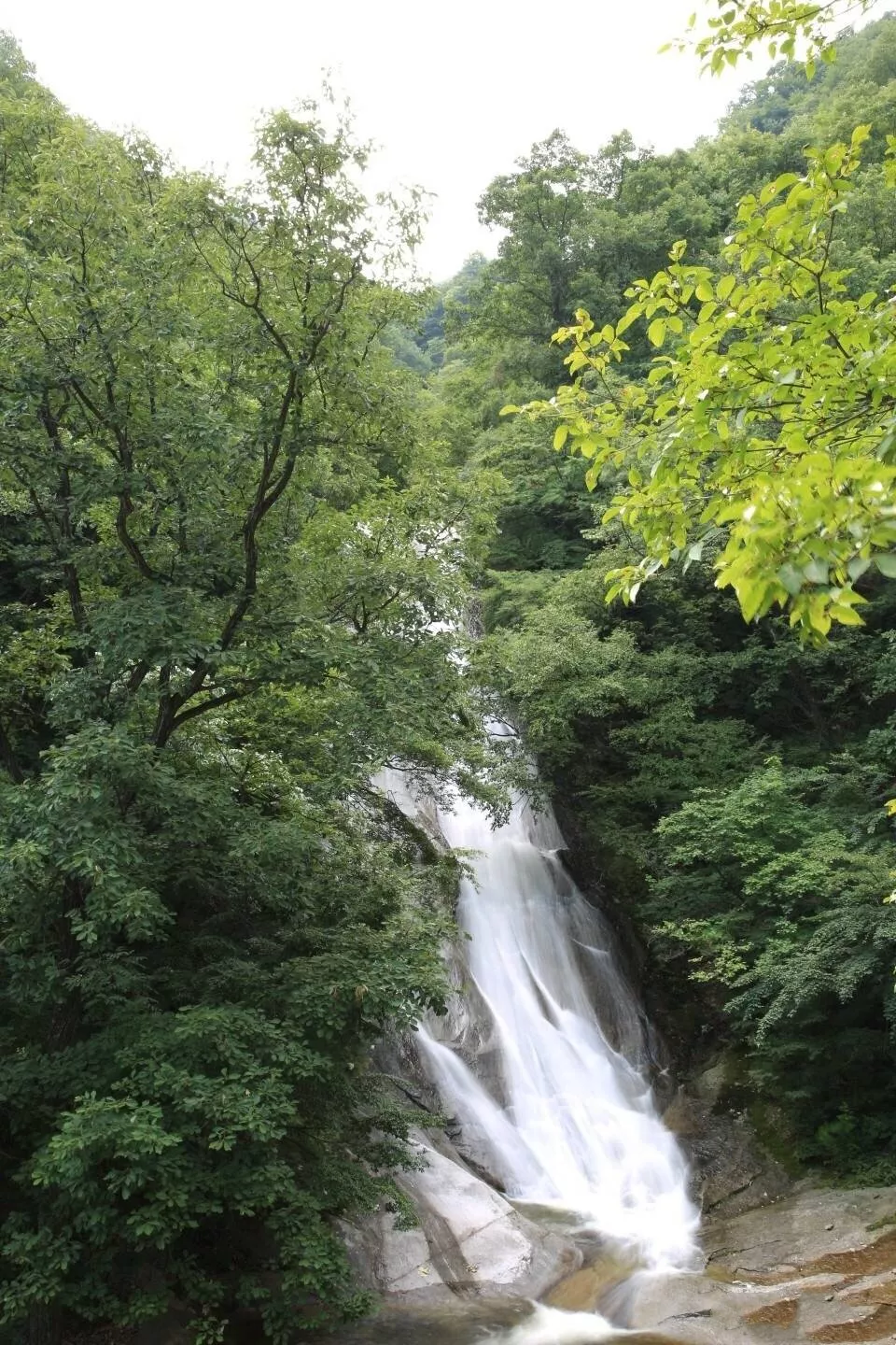 享太平盛世·庆70华诞丨8月10日木札岭首届广场舞大赛，邀您免费参与，开始报名…