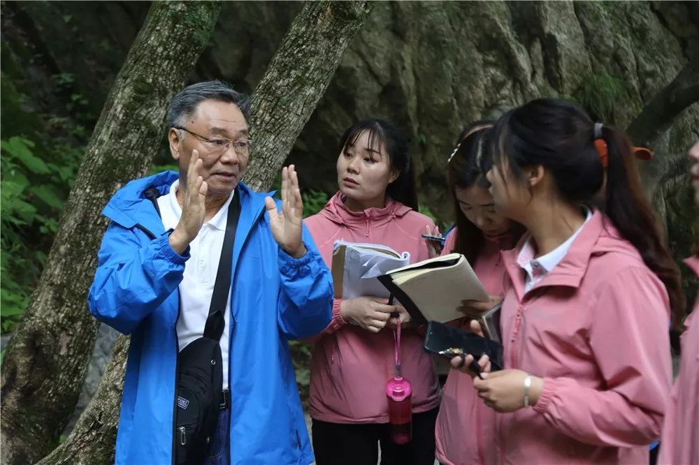 福利｜明天起高速免费，老君山准备就绪，就等你来！