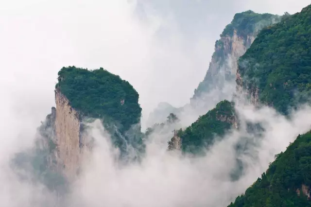 我从来没见过这么浪漫的七夕礼物