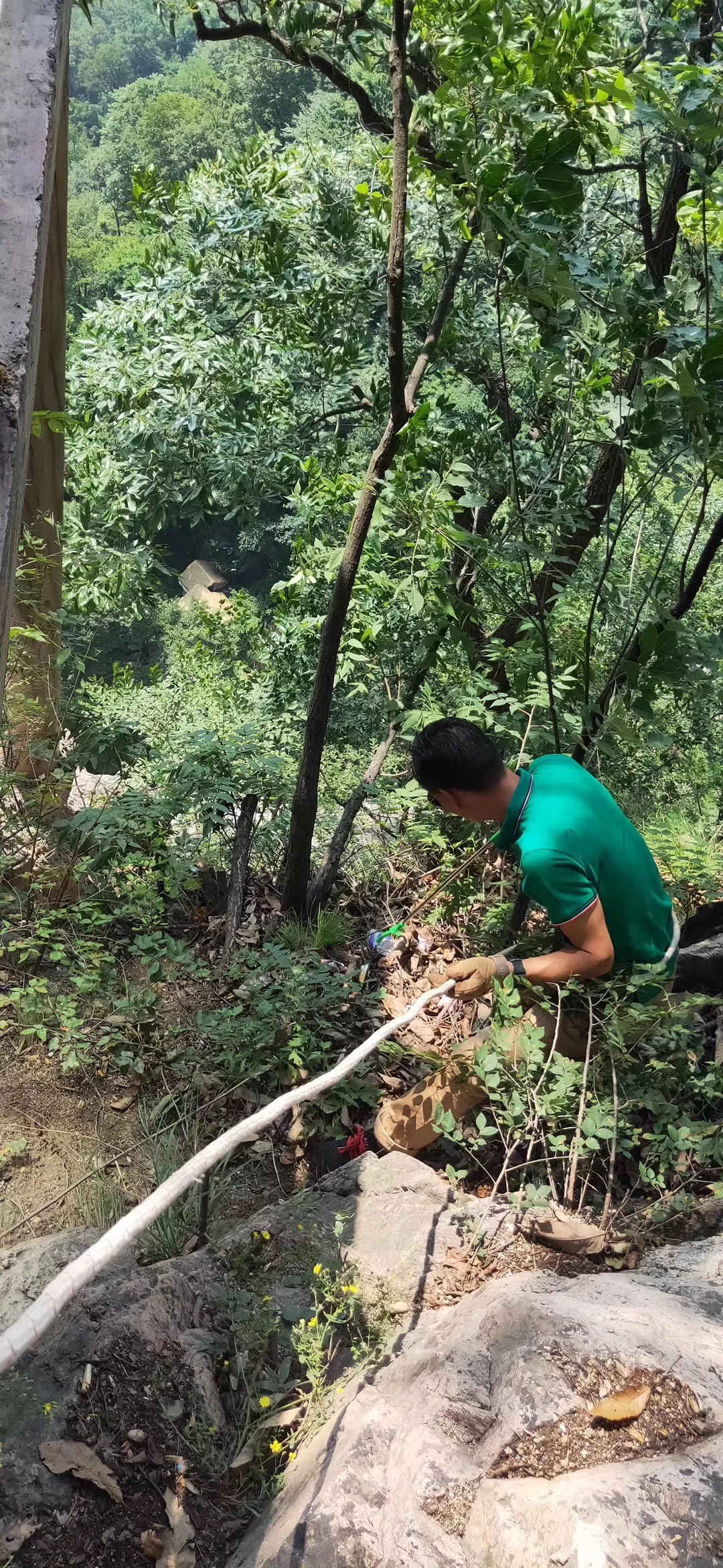 风景背后的风景——白云山人