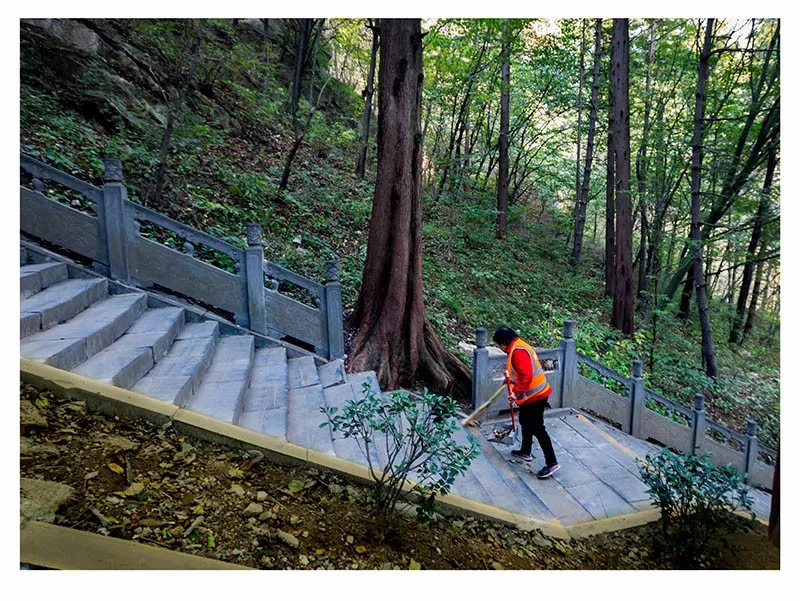 风景背后的风景——白云山人